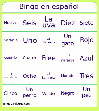Spanish Elementrary Lesson Bingo Card