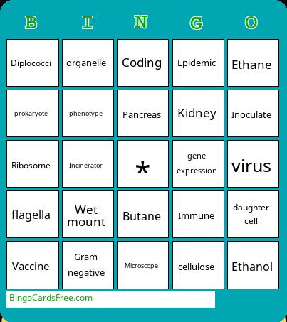 Spartan Science Spectacular  Bingo