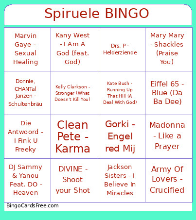 Spiruele Bingo Card 2