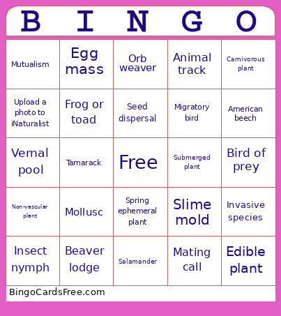 Spring 121 Bingo Card