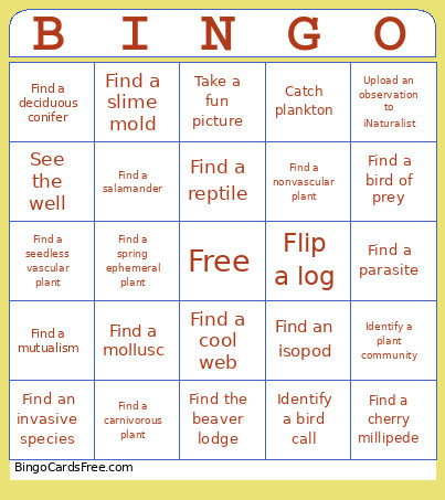 Spring Fish Lake Bingo Card