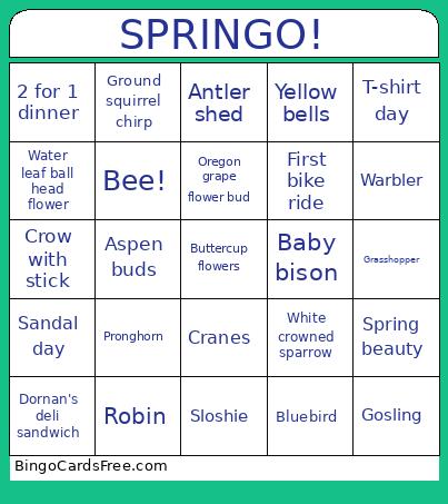 SPRINGO! Bingo Card