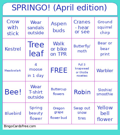 SPRINGO! (April Edition) Bingo Card