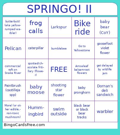 SPRINGO! II Bingo