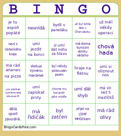Ssssdfs Bingo Card
