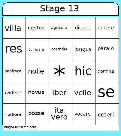 Stage 13 Bingo Card