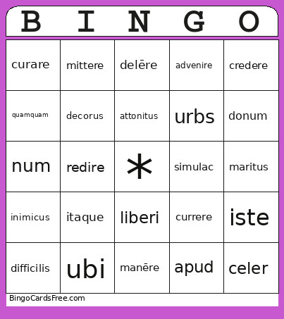 Stage 14 Bingo Card