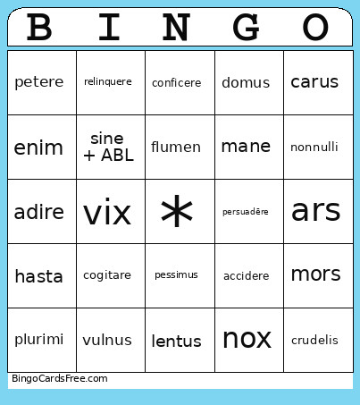 Stage 17 Bingo Card