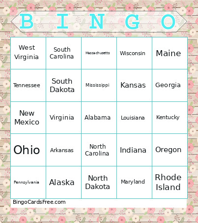 States On The Line Bingo Card