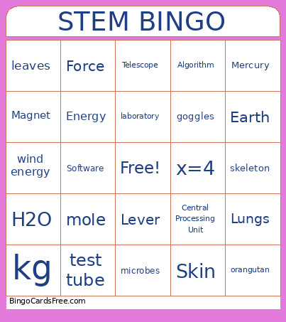 STEM Bingo Card