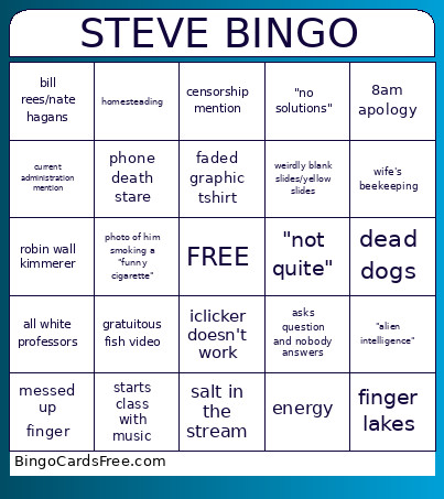STEVE Bingo Card