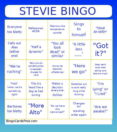 Stevie Bingo Card