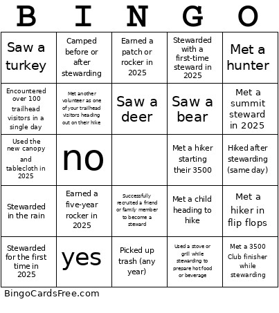 Stewards Bingo Card
