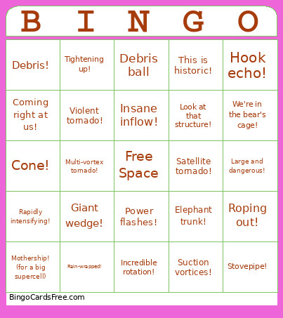 Storm Chaser BS Bingo Card