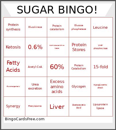 SUGAR ! Bingo Card