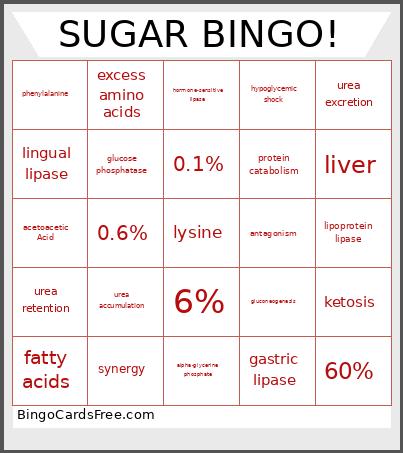 SUGAR ! Bingo Card 2