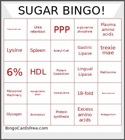 SUGAR ! Bingo Card