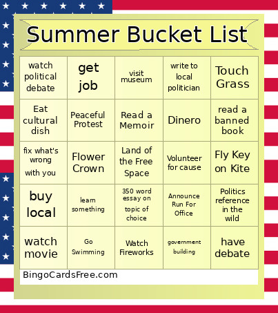 Summer Politics Bingo Card