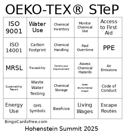 Summit STeP 2025 Bingo Card