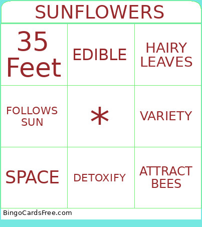 SUNFLOWERS Bingo Card