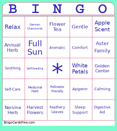 Sunny Bingo Card