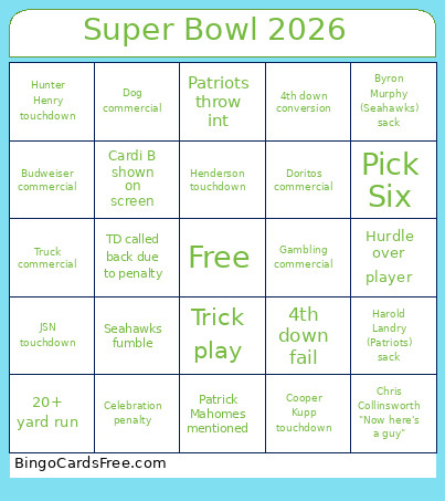 Super Bowl 2026 Bingo Card