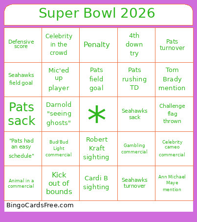 Super Bowl 2026 Bingo Card