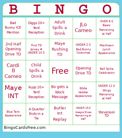 Super Bowl Bingo Card 2