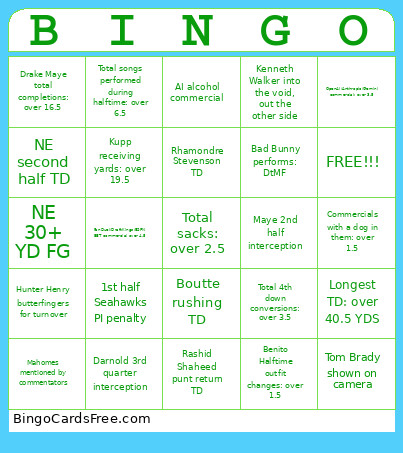 Super Bowl 60 Bingo Card