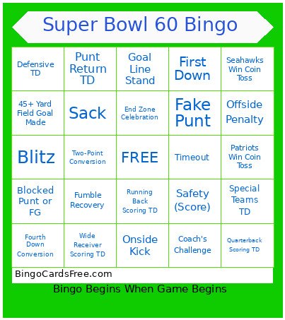 Super Bowl 60 Bingo Card