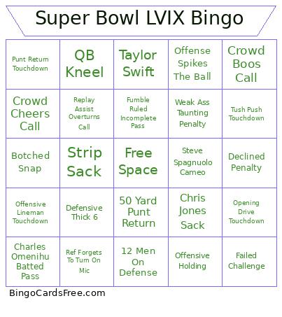 Super Bowl LVIX Bingo Card
