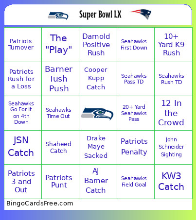 Super Bowl LX Bingo Card 3