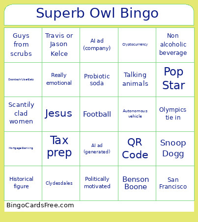 Superb Owl Bingo Card