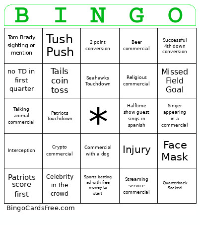 Superbowl 2026 Bingo Card