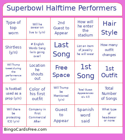 Superbowl Halftime Performers Bingo Card