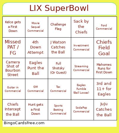 SuperBowl LIX Bingo Card