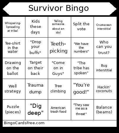 Survivor Bingo
