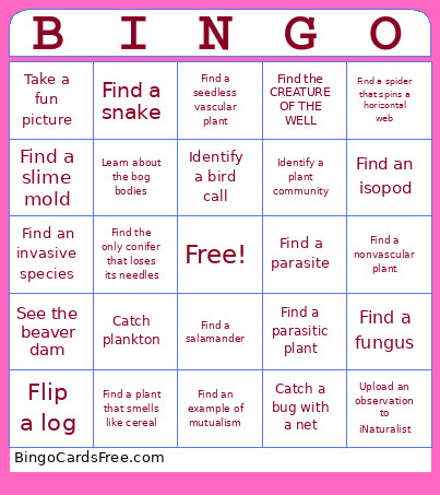 Survivor Night Fish Lake Bingo Card