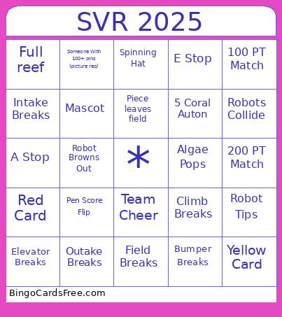 SVR 2025 Bingo Card 2