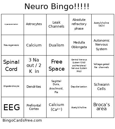 SWG Taylor Group 1 Bingo Card