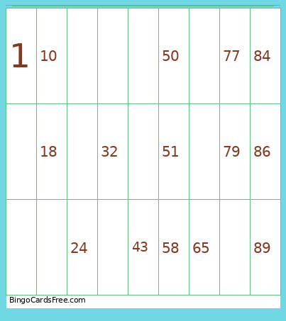 Sygepleje Bingo Card