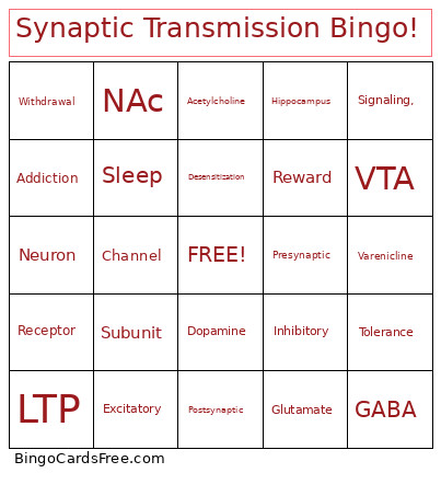 Synaptic Transmission ! Bingo Card