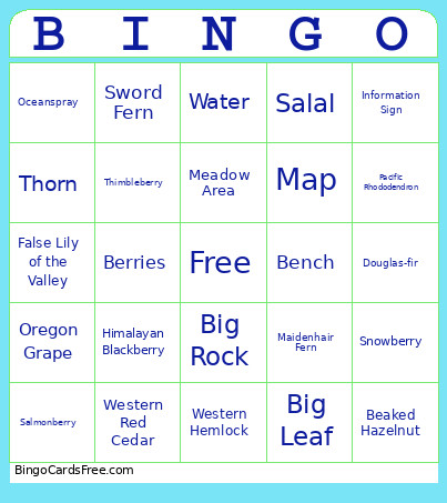 Tacoma Community House Bingo Card