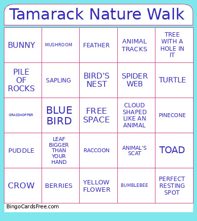 Tamarack Nature Walk Bingo Card