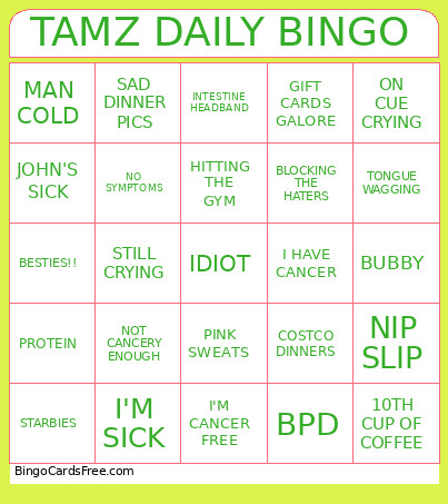 TAMZ OUR FAVORITE INTERNET IDIOT Bingo Card