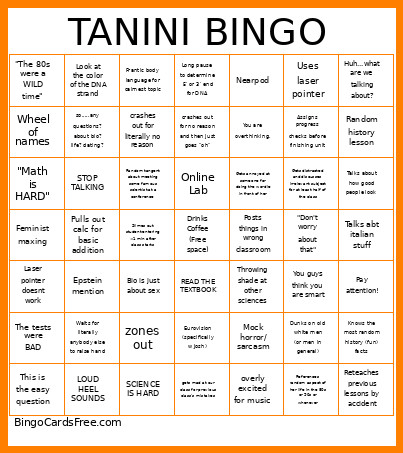 TANINI Bingo Card