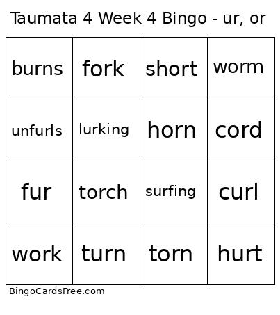 Taumata 4 Week 4 - Ur, Or Bingo Card