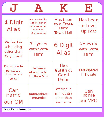 Team Amis Bingo Card