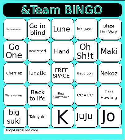 &Team Bingo Card