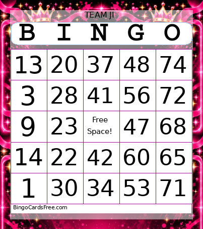 TEAM JI Bingo Card